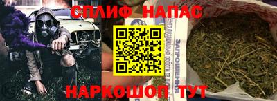 стафф Можга