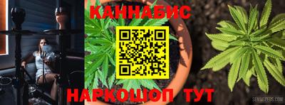 стафф Можга